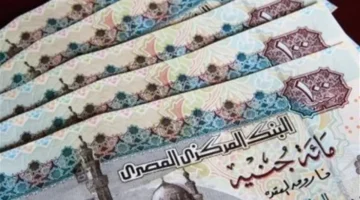 تحديد موعد صرف زيادة المرتبات الجديدة للعاملين بالجهاز الإداري للدولة